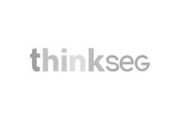 Um logotipo com o texto "thinkseg" em letras minúsculas. A palavra "think" está em preto, enquanto "seg" está em cinza. O logotipo está em um fundo branco.